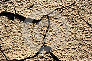 Parched and cracked land after the distant rains