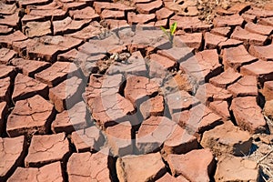 Parched cracked red clay soil. Generative AI