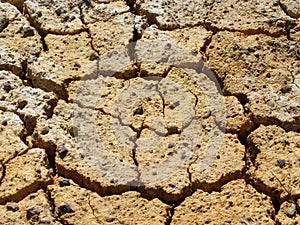 Parched and cracked soil
