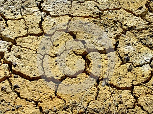 Parched and cracked soil