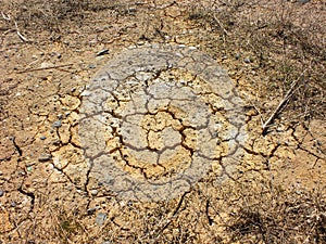 Parched and cracked soil