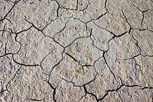 Parched crannied earth