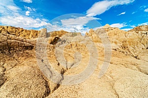 Parched Desert Landscape