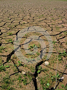 Parched earth