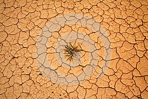 Parched earth