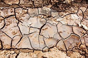 Parched earth