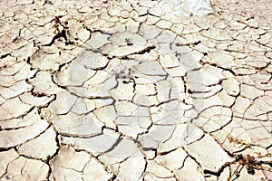 Parched Earth