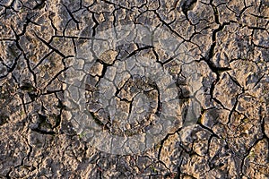 parched earth with cracks and animal tracks