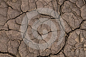 Parched earth dried up land river bed