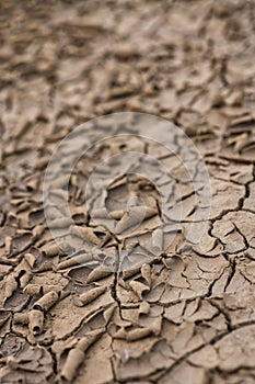 Parched earth dried up land river bed