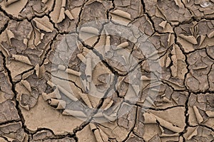 Parched earth Dry river bed