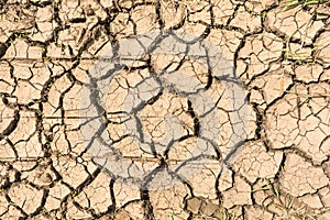 The parched earth has many cracks from intense heat
