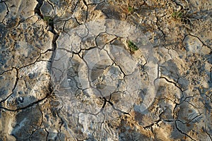 Parched Earth Texture: Arid Land with Cracked Soil and Scant Vegetation