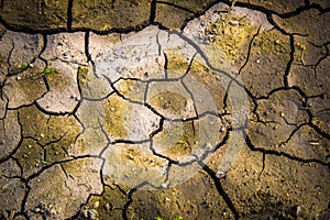 Parched Earth Yearning for Water