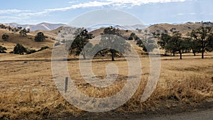 Parched farmland with yellow gold grass and rolling hills