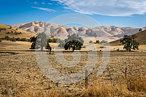 Parched farmland with yellow gold grass and rolling hills