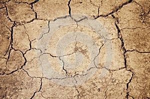 Parched Ground