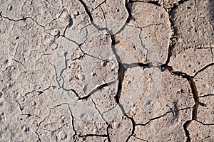 parched ground of a field in summer