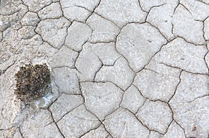 Parched ground texture