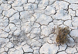 Parched ground texture
