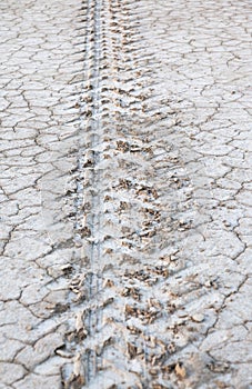 Parched ground with tire marked