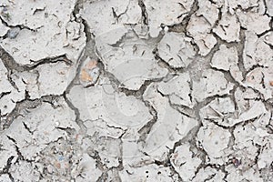 The parched ground with two brown leaves