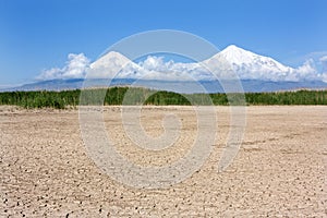 Parched lake with dam of reed in Ararat lowland the Mount Ararat