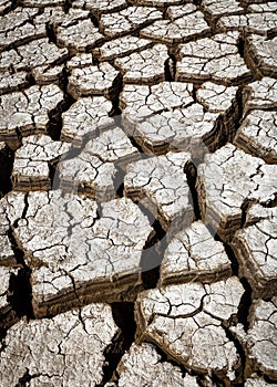 Parched land