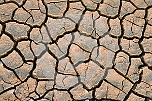 Parched land