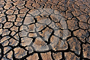 Parched land