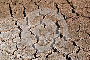 Parched land