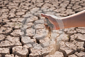 Parched land with hand