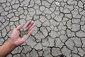 Parched land with hand scattering dry dirt