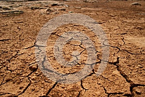 Parched land after a hot summer photo