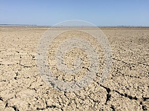 Parched land in the Regional Natural Park of Camargue