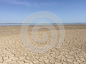 Parched land in the Regional Natural Park of Camargue