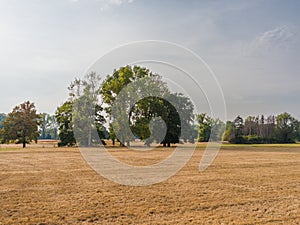 Parched meadow and trees in a meadow landscape in late summer.