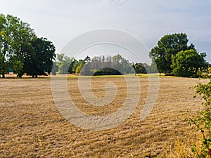 Parched meadow and trees in a meadow landscape in late summer.