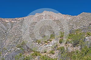 Parched Mountains and Plants in the Desert in West Texas