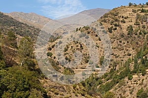 Parched slopes in Sierra Nevada National Park