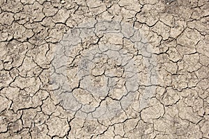 Parched soil