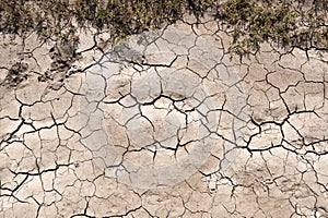 Parched Soil