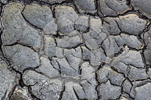 Parched soil, cracked earth background.