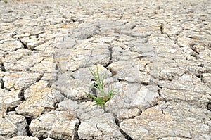 Parched Soil During Drought And Dry Season