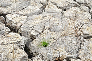 Parched Soil During Drought And Dry Season