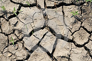 Parched soil due to climate warming