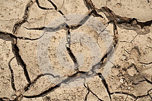 Parched soil on a field