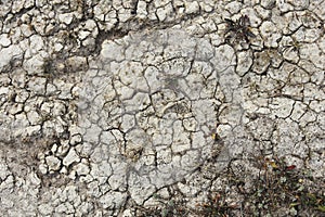 Parched Soil Texture
