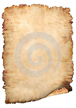 Parchment paper background photo