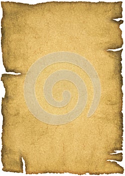 Parchment Texture Background very large format